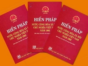 Vietnamese Americans contribute to revised 1992 Constitution - ảnh 1